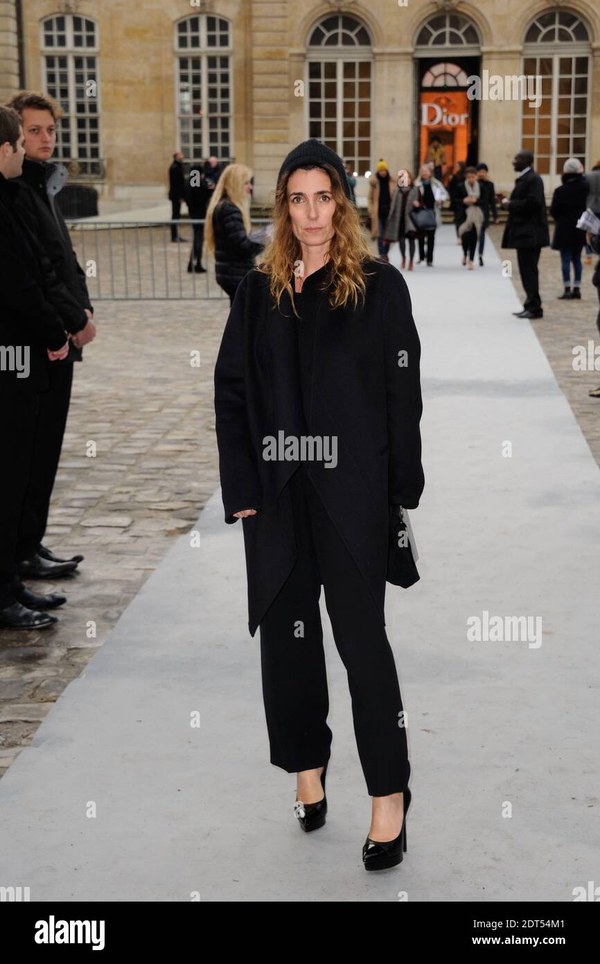 Agnes Boulard alias Mademoiselle Agnes arrivant au salon de la collection de la haute-Couture Printemps-été 2014 de Christian Dior, qui s'est tenu au Musée Rodin à Paris, en France, le 20 janvier 2014. Photo d'Alban Wyters/ABACAPRESS.COM Banque D'Images