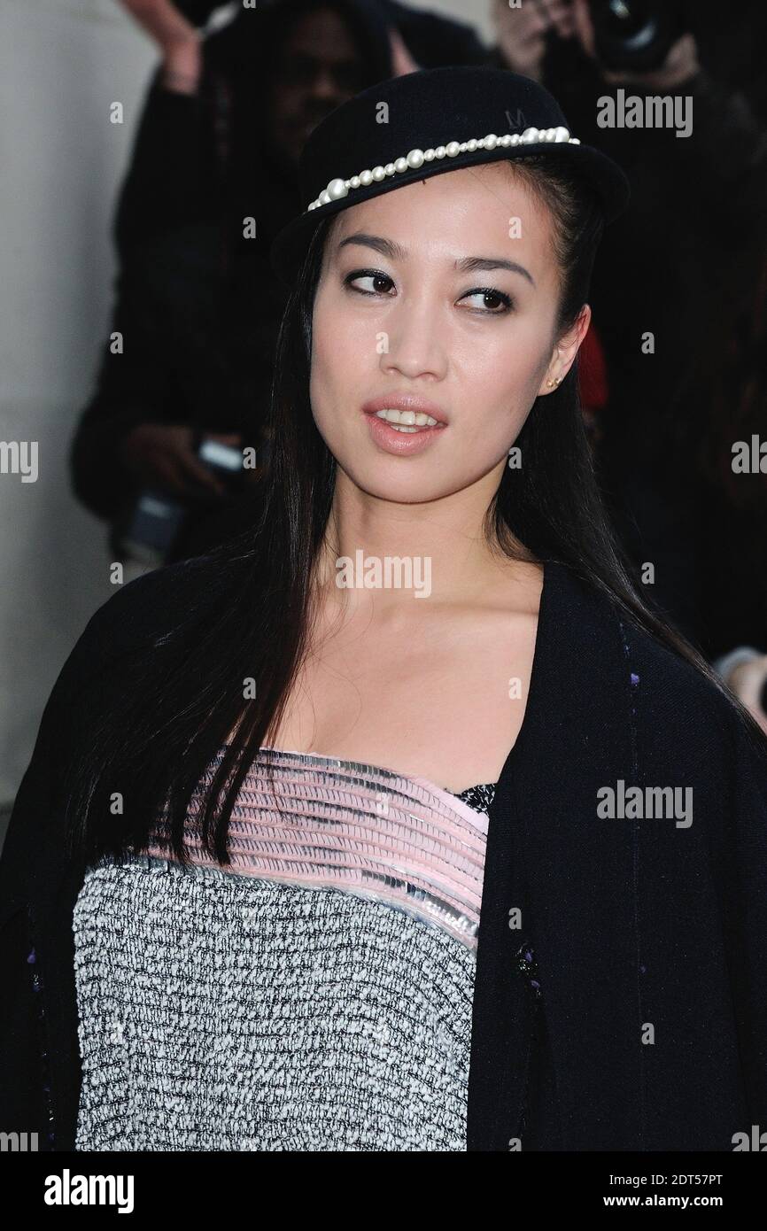 Yi Zhou arrive au salon de la collection haute-Couture Printemps-été 2014 de Chanel qui s'est tenu au Grand Palais à Paris, en France, le 21 janvier 2014. Photo d'Aurore Marechal/ABACAPRESS.COM Banque D'Images