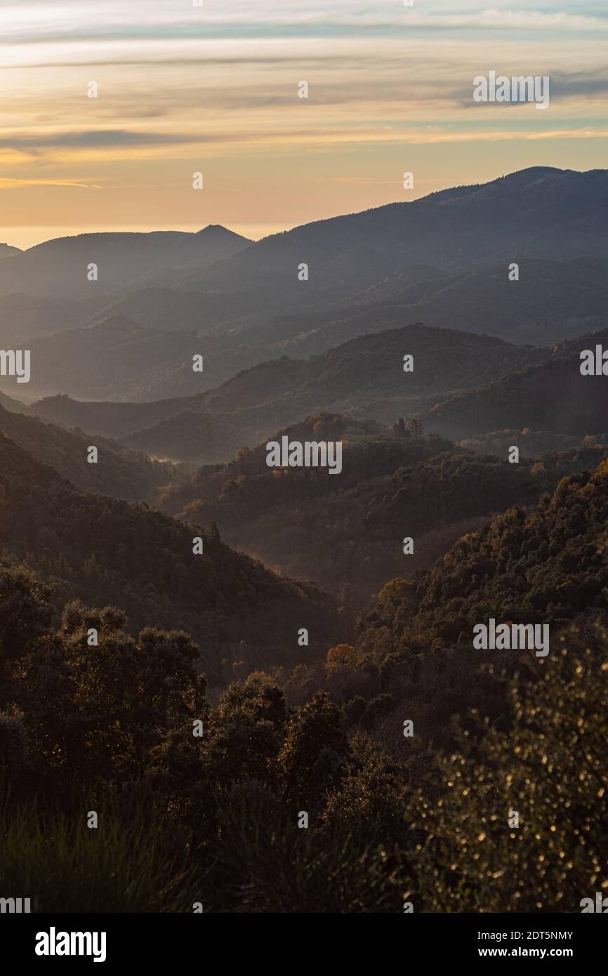 Paysage de pic de forêt de montagne sur un lever de soleil matin avec certains brouillard minuscule dans les vallées Banque D'Images