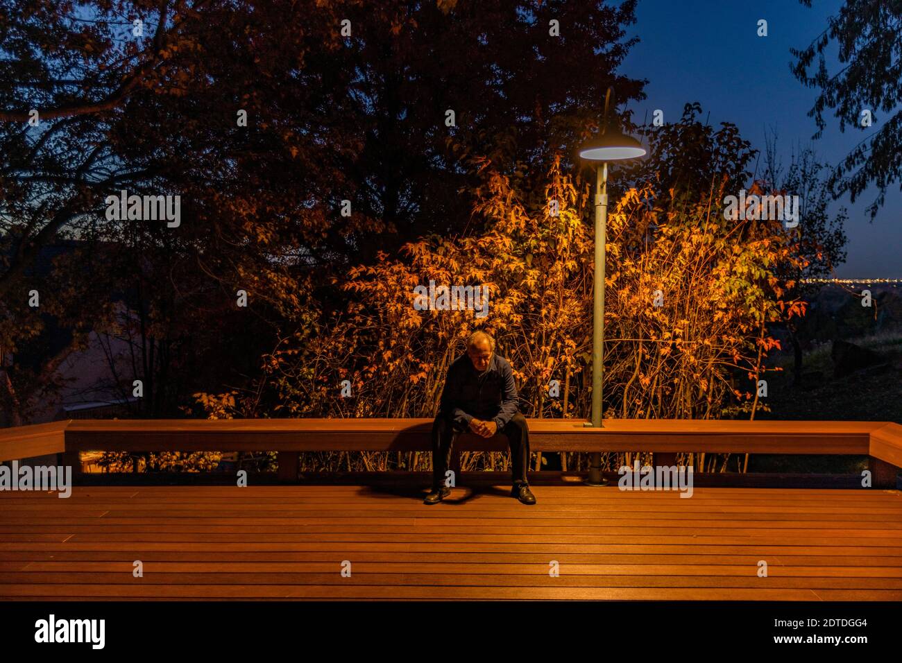 USA, Idaho, Boise, Senior homme assis sur le banc de pont sous l'arbre d'automne illuminé la nuit Banque D'Images