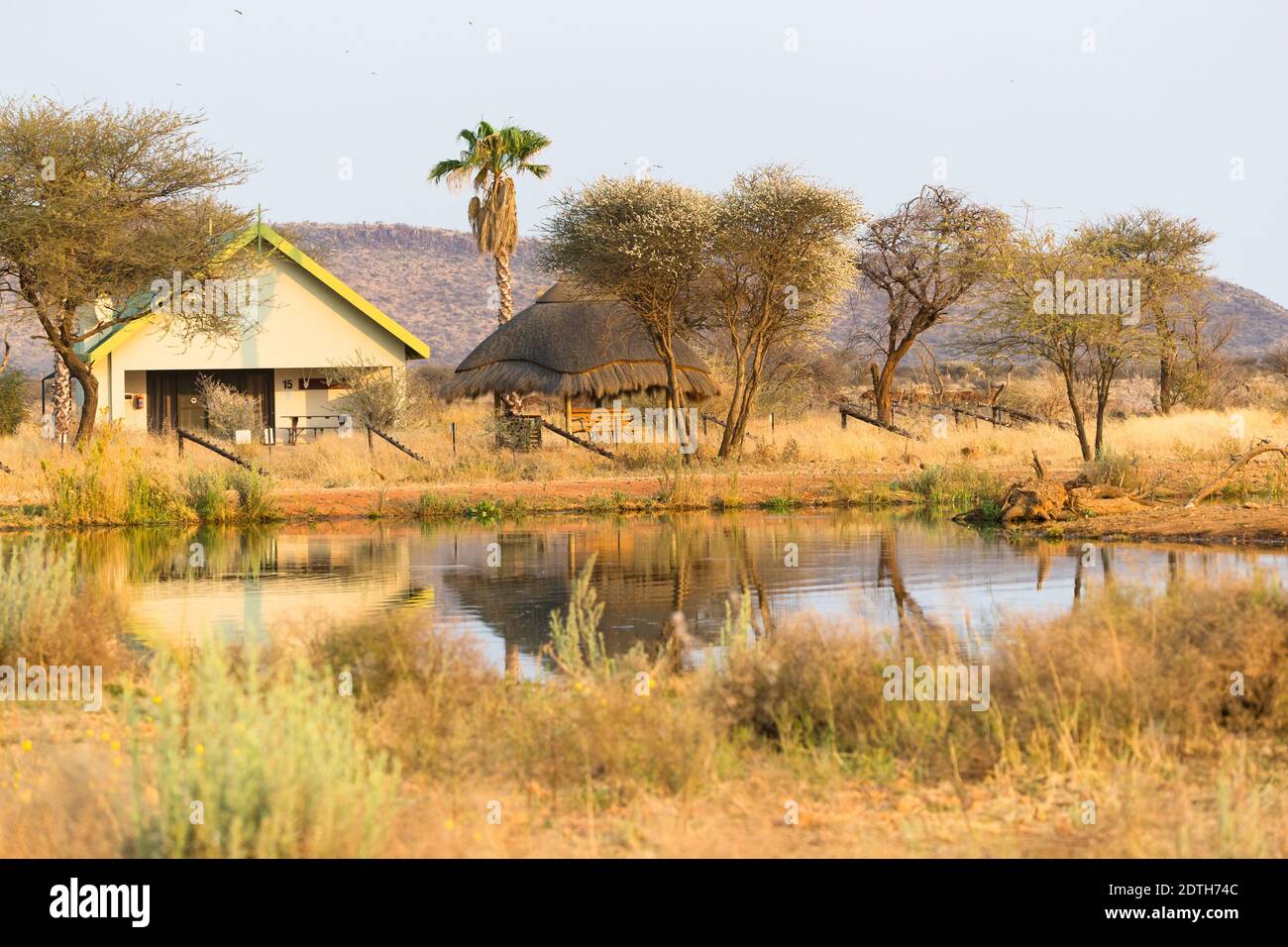 Logement indépendant bungalow ou chalet dans un trou d'eau dans une réserve de jeux privée en Namibie, Afrique Banque D'Images