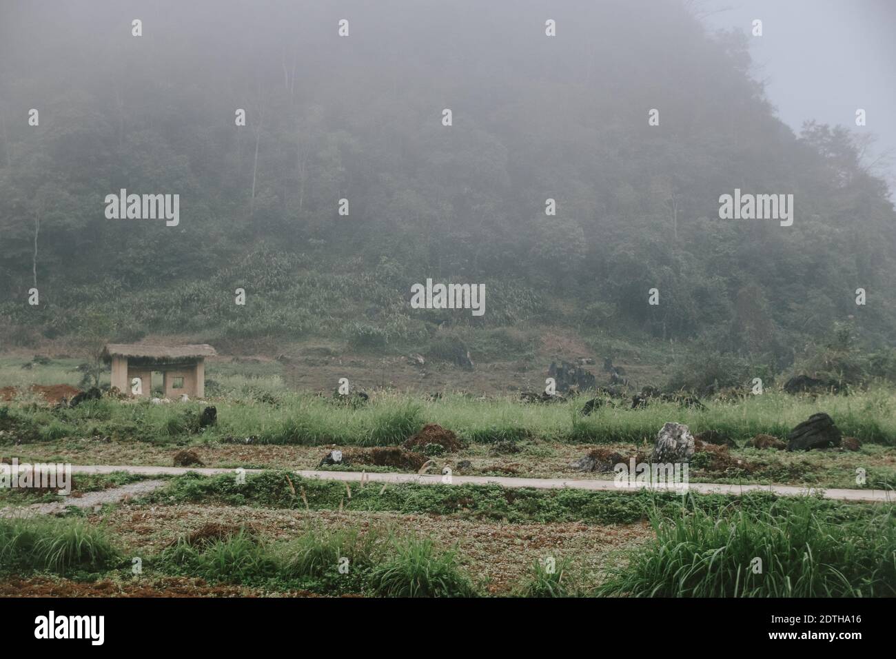 Montagnes karstiques dans le plateau de Dong Van Karst Geopark à Ha giang, Vietnam Banque D'Images