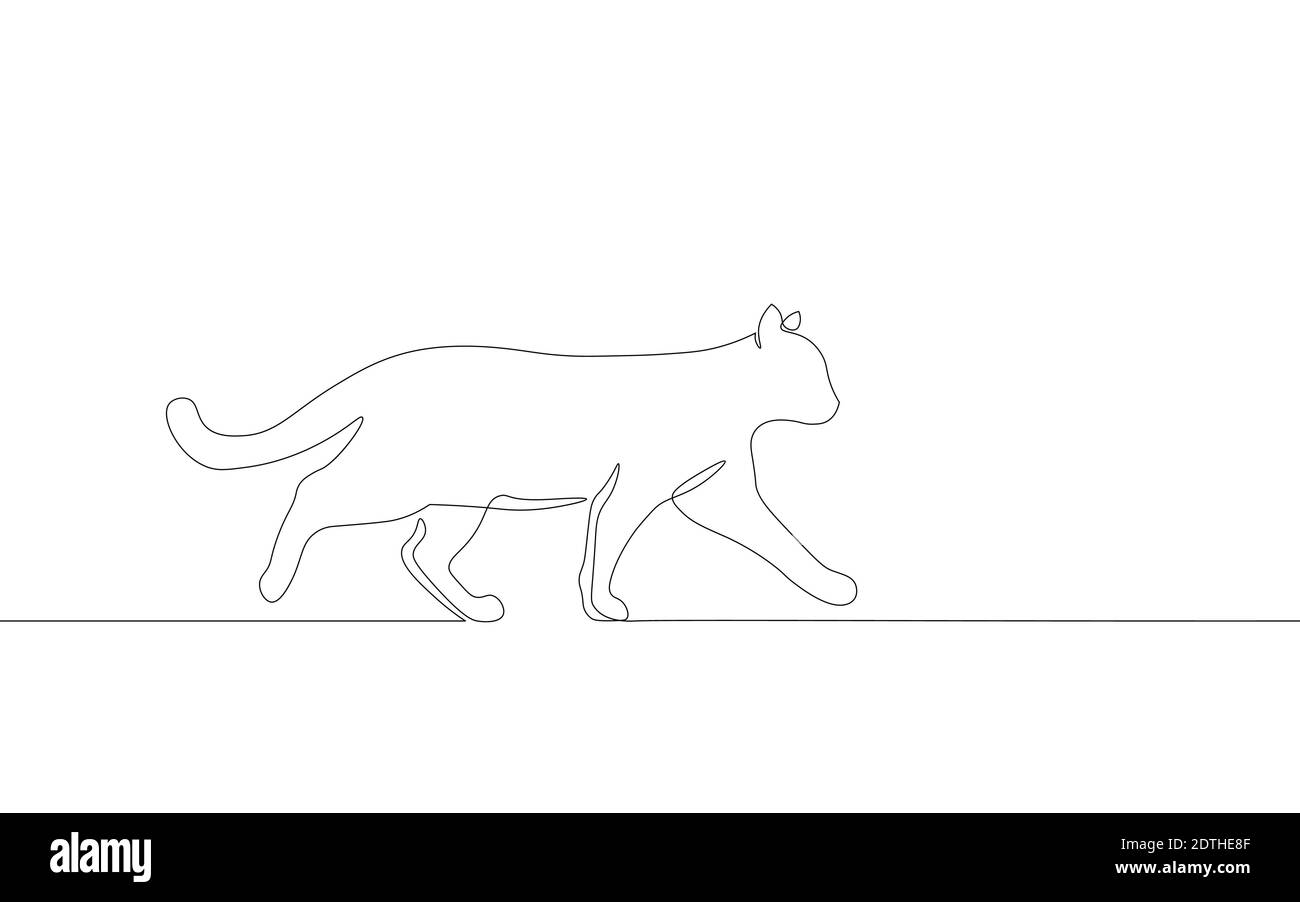Une seule ligne continue art Cat aller. Animaux domestiques mignons animaux félins concept. Concept de repas de la clinique vétérinaire. Un vecteur de mise en plan de contour d'esquisse Illustration de Vecteur