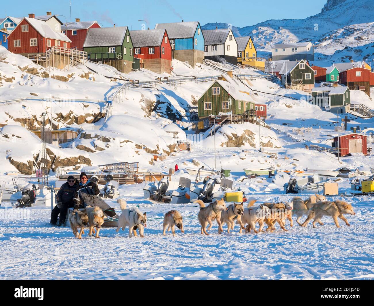 Chien de traîneau pendant l'hiver à Uummannaq dans le nord-ouest du Groenland, une équipe de chiens avec des pêcheurs quittant le port gelé. Les équipes de chiens sont toujours en train de rédiger un Banque D'Images