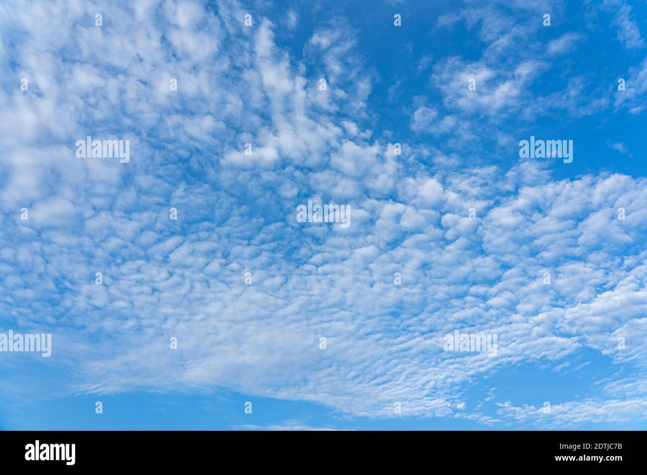 Ciel de maquereau ou ciel de babeurre de nuages d'altocumulus Banque D'Images