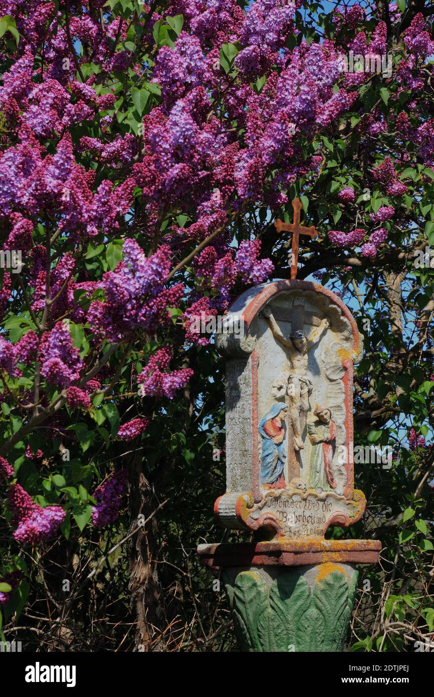 Wayside sanctuaire en face de lilas en fleurs près de Hilders dans Rhön, Fulda County, Hesse, Allemagne / Bildstock vor blühendem Flieder BEI Hilders dans le RH Banque D'Images