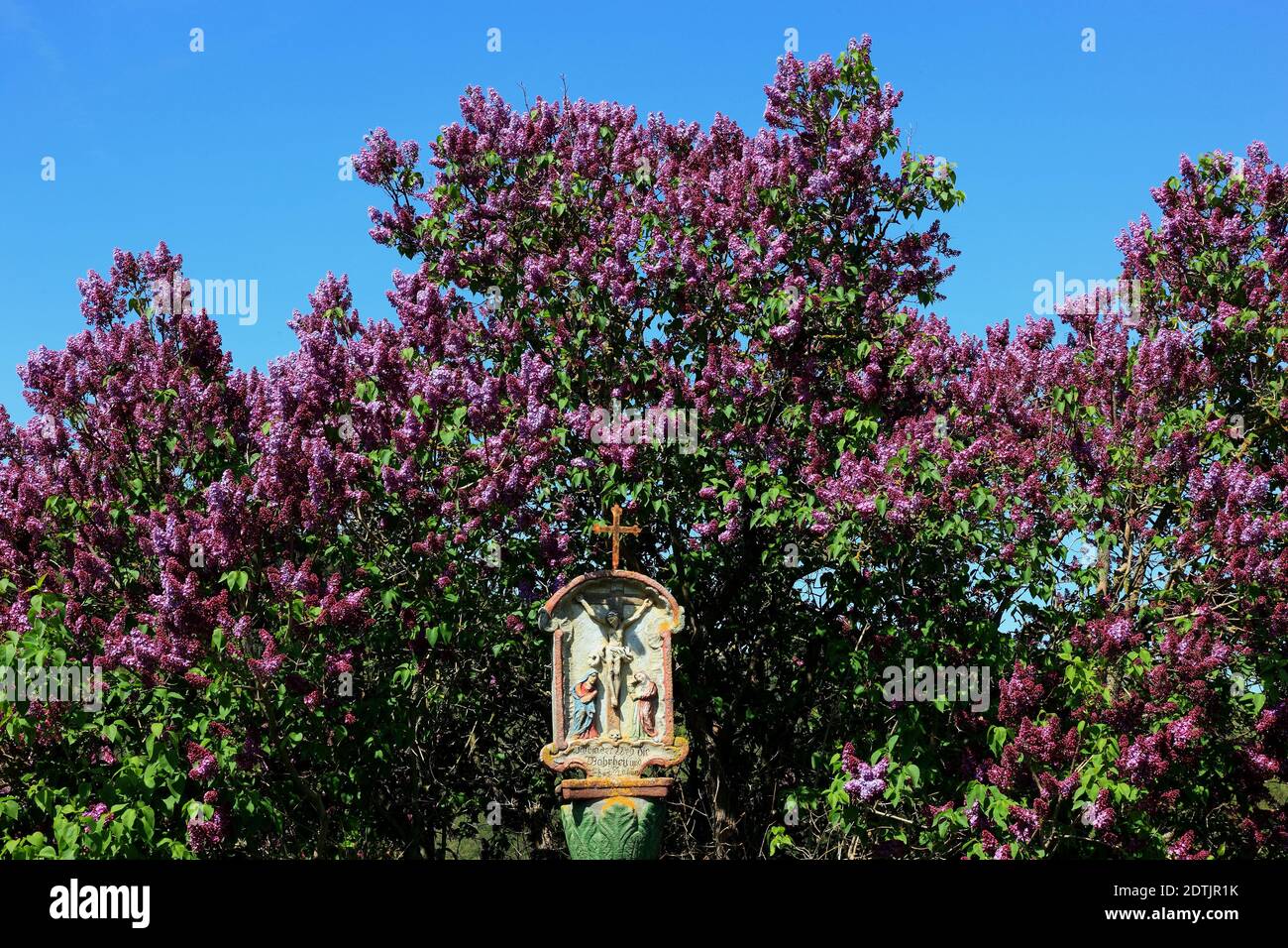 Wayside sanctuaire en face de lilas en fleurs près de Hilders dans Rhön, Fulda County, Hesse, Allemagne / Bildstock vor blühendem Flieder BEI Hilders dans le RH Banque D'Images