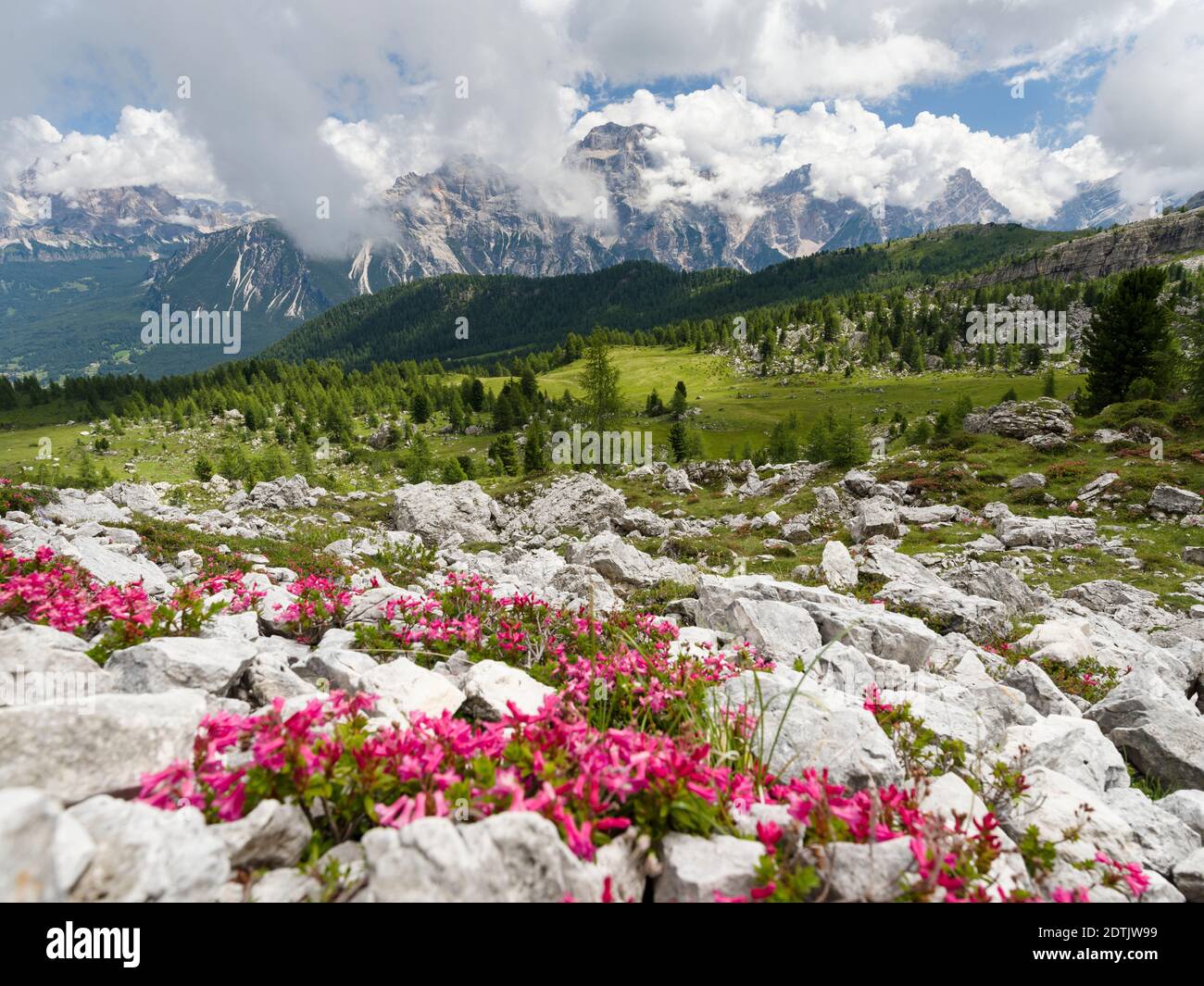 Croda da Lago dans les Dolomites de la Vénétie près de Cortina d'Ampezzo, vue vers Sorapis. Partie du patrimoine mondial de l'UNESCO. Europe, Europe centrale, Banque D'Images