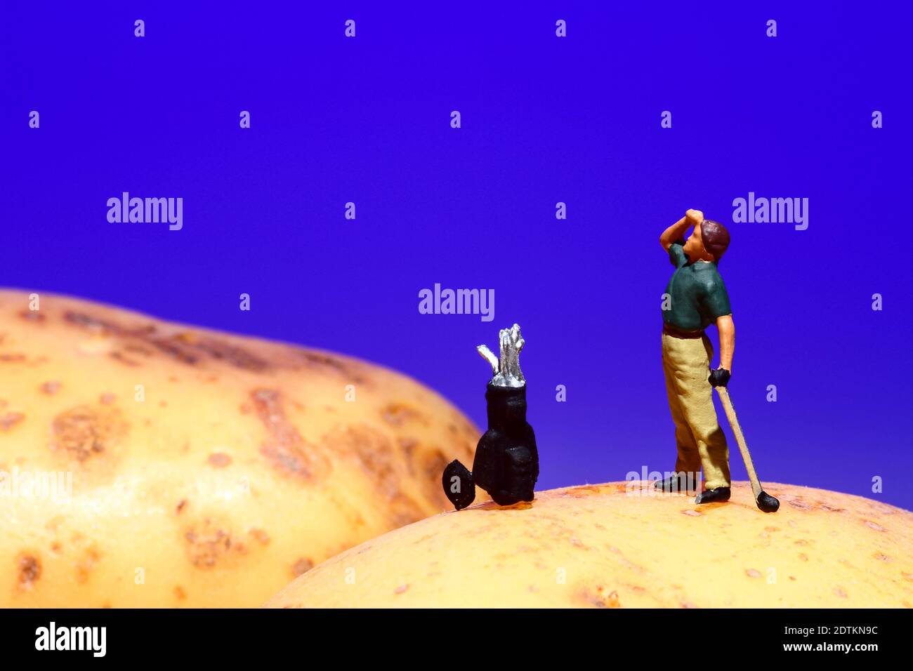 Image conceptuelle des personnes miniatures jouant au golf sur les pommes de terre Banque D'Images