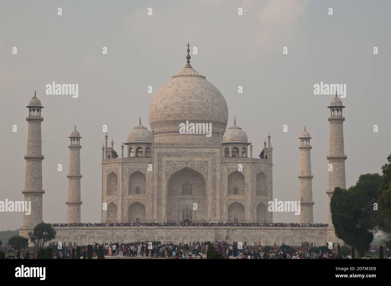 Taj Mahal dans Agra à Uttar Pradesh. Inde. Banque D'Images