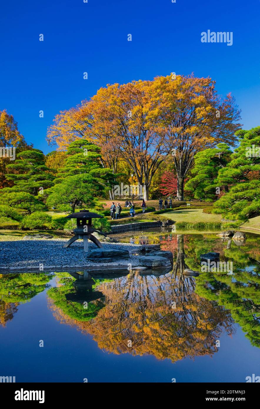 Japon, Tokyo, Chiyoda Ku, Imperial Palace Gardens Banque D'Images