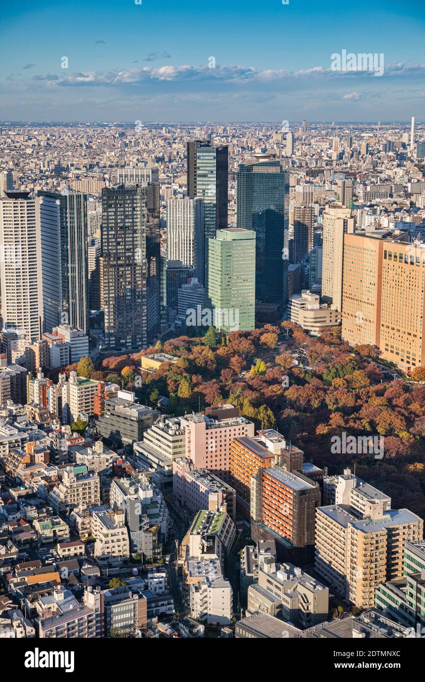 Japon, Tokyo, Shinjuku District, Central Park Banque D'Images