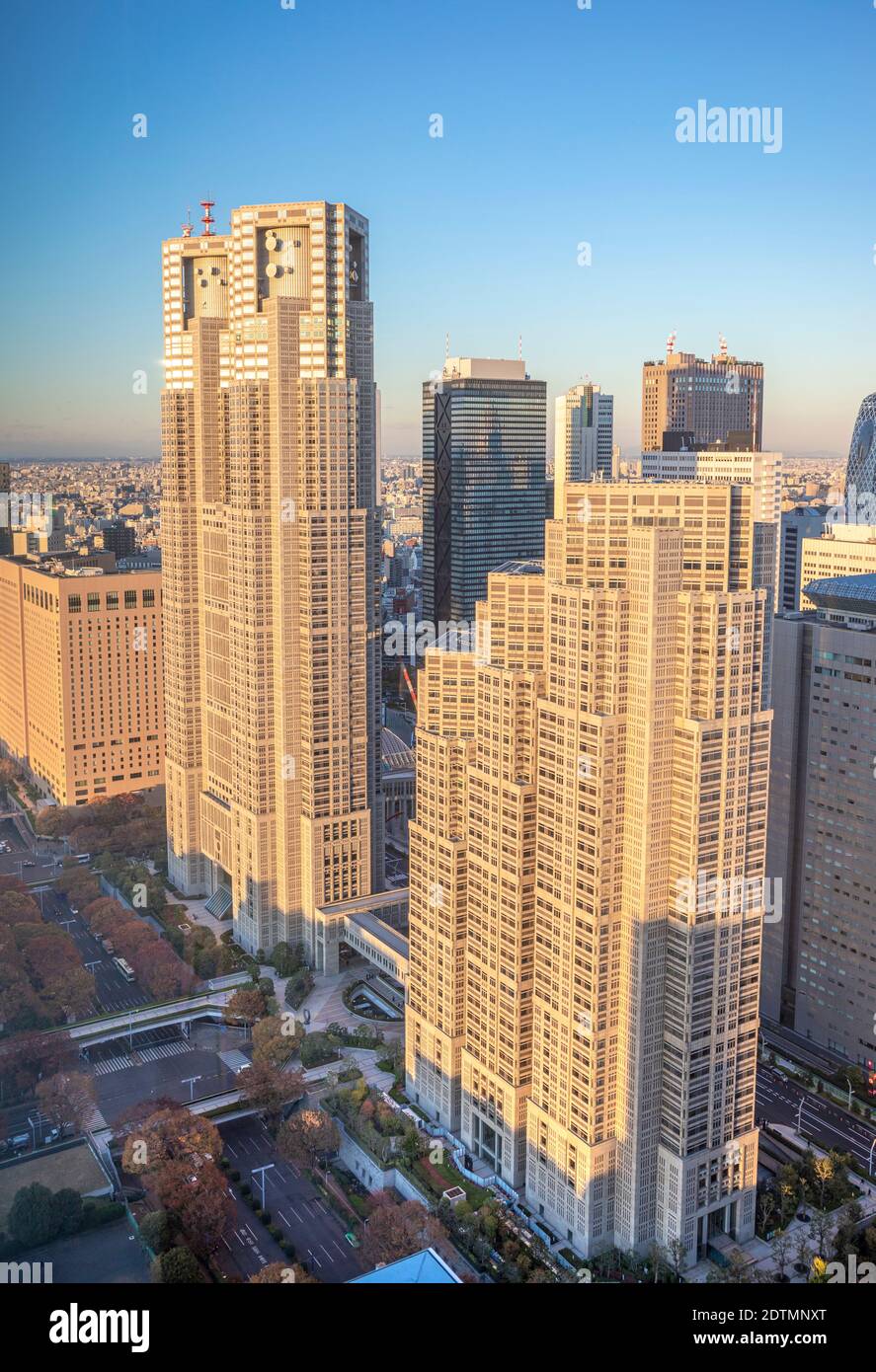 Japon, Tokyo, Shinjuku District, central Park, Tocho Building, Tokyo City Hall Building Banque D'Images