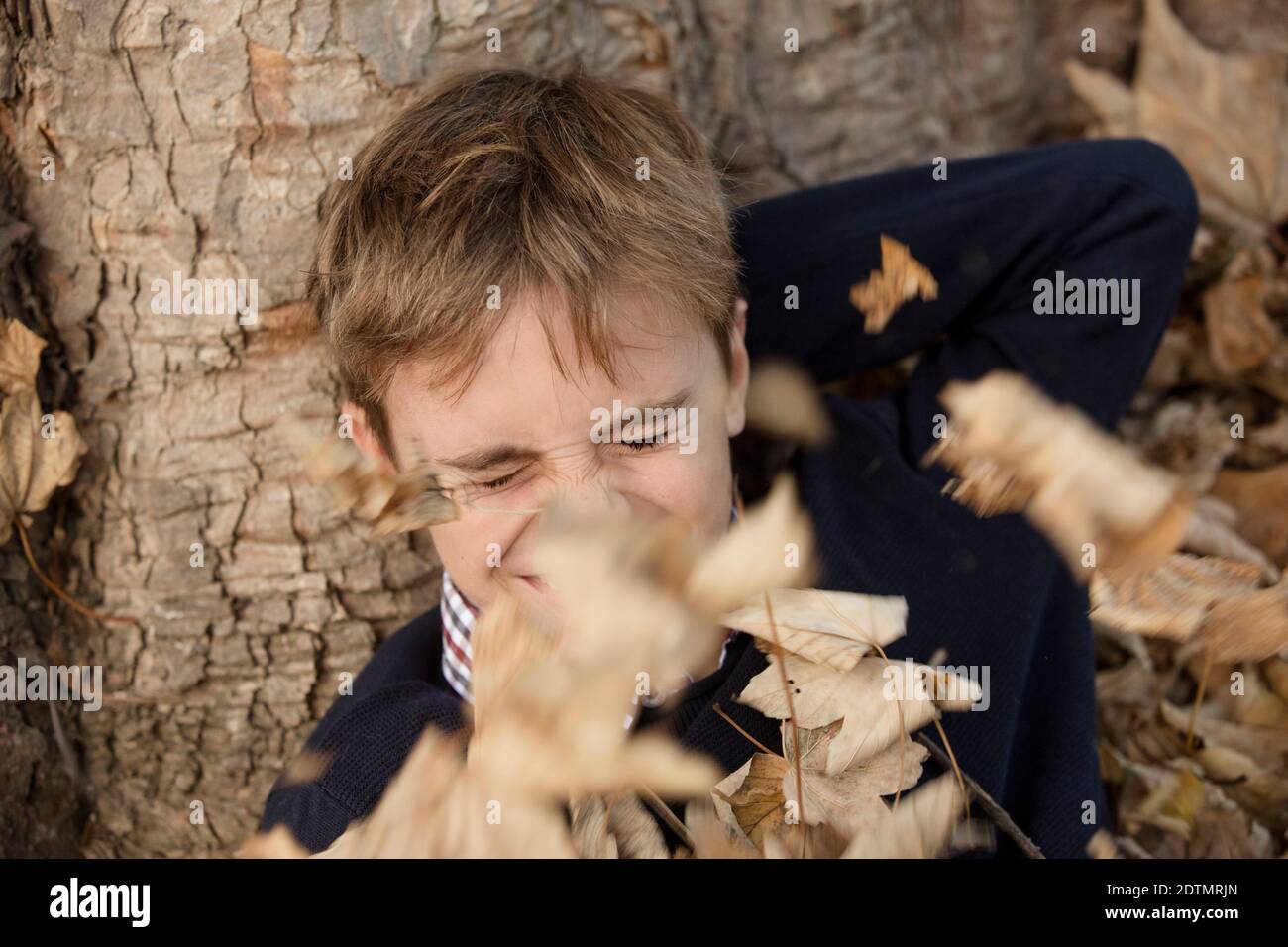 Automne dans la forêt, garçon sous un arbre Banque D'Images