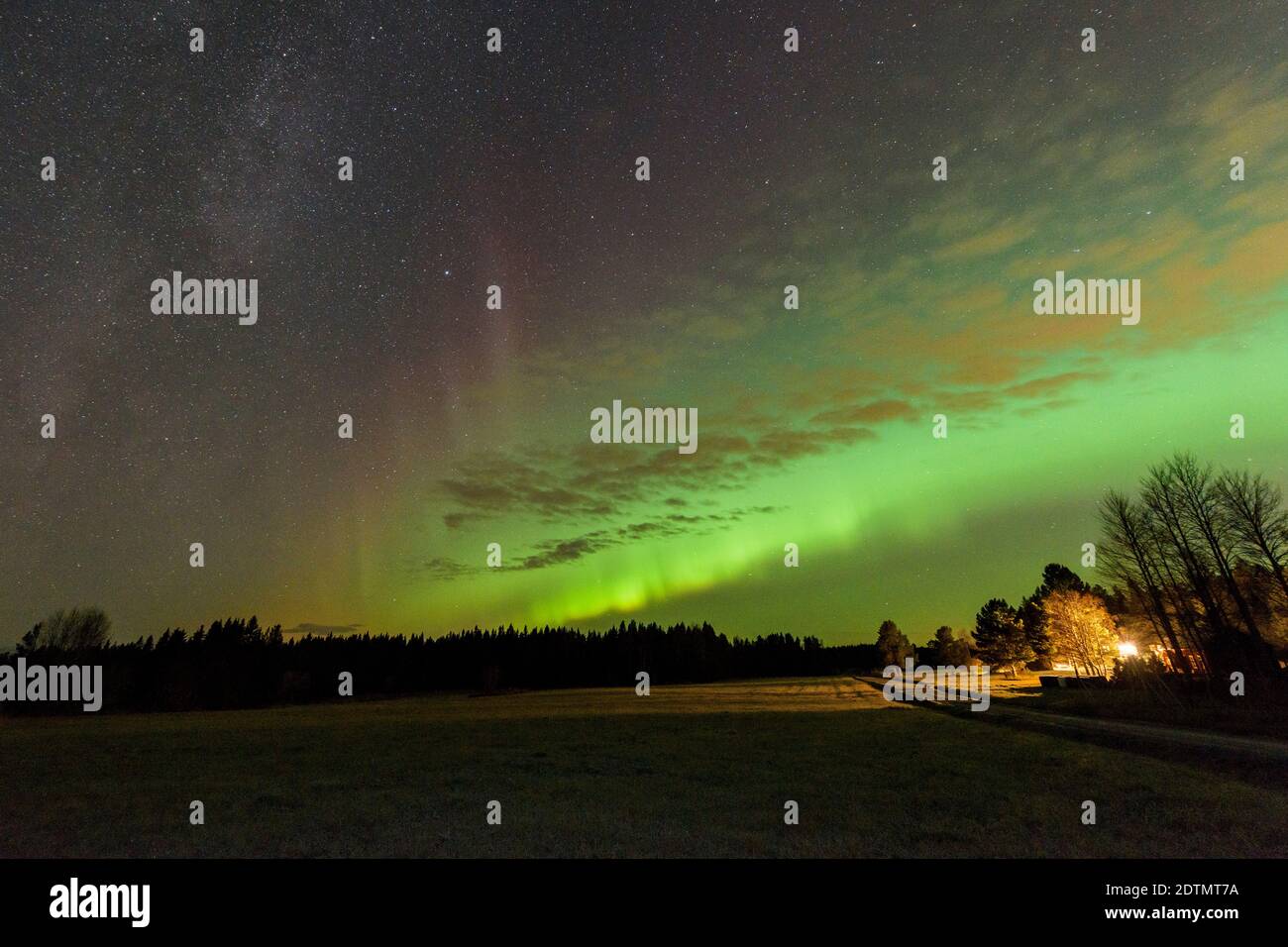Vue panoramique de Field contre le ciel d'Aurora la nuit Banque D'Images