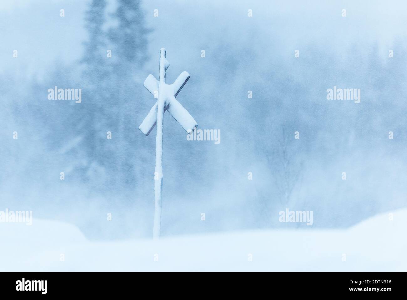 Connectez-vous à Snow Storm Banque D'Images