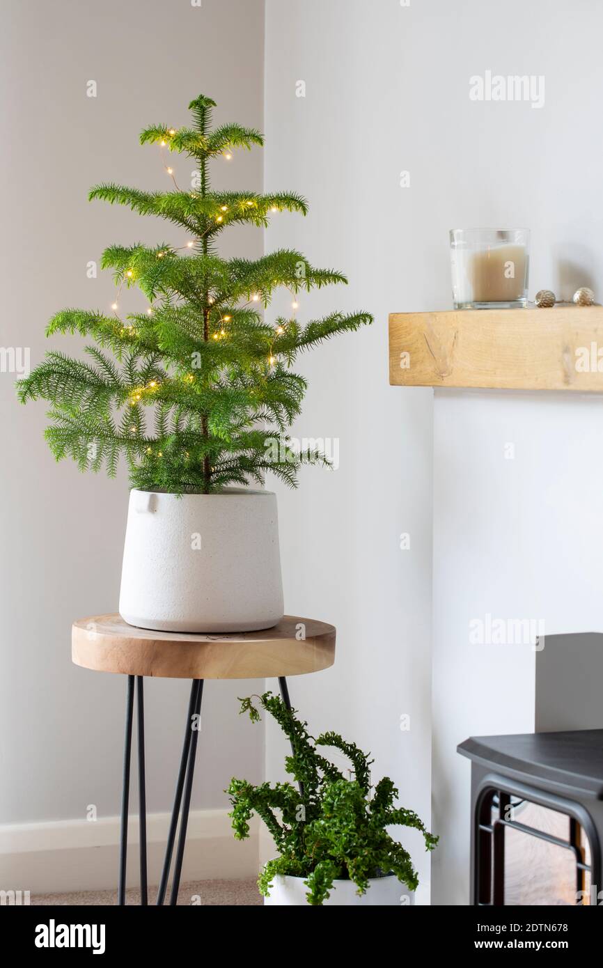 Coin de la chambre décoré pour Noël Banque D'Images