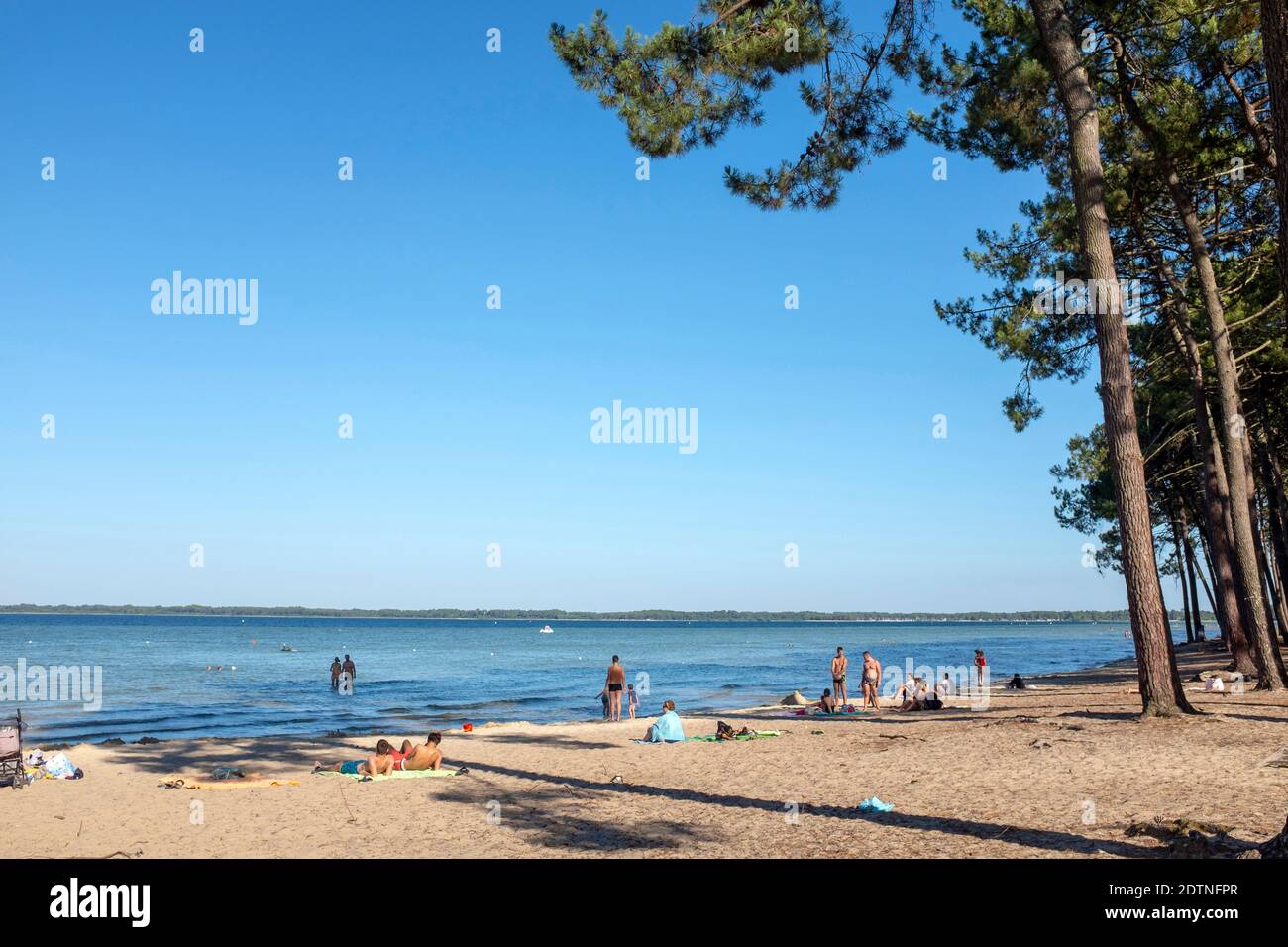 Biscarrosse (sud-ouest de la France) : plage au bord du lac de Biscarosse et de Parentis Banque D'Images