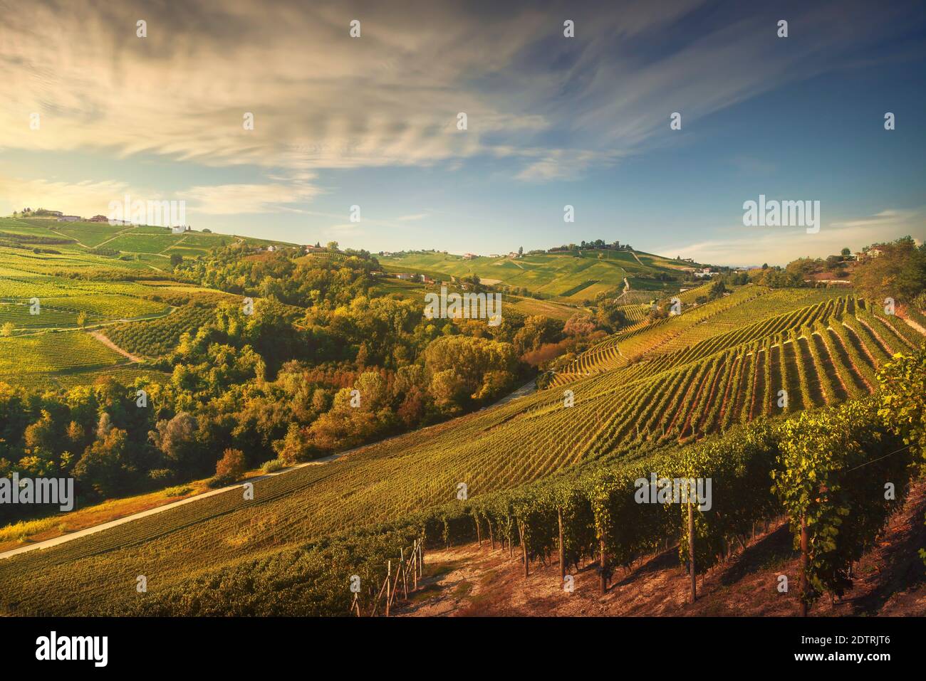 Vignobles de Langhe, site de l'UNESCO, Neive, Piémont, Nord de l'Italie Europe. Banque D'Images