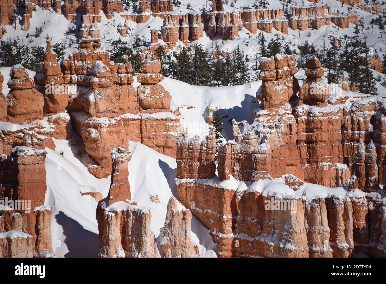 Les hoodoos de neige magnifiquement colorée ont couvert le parc national de Bryce Canyon, Utah, États-Unis. Banque D'Images