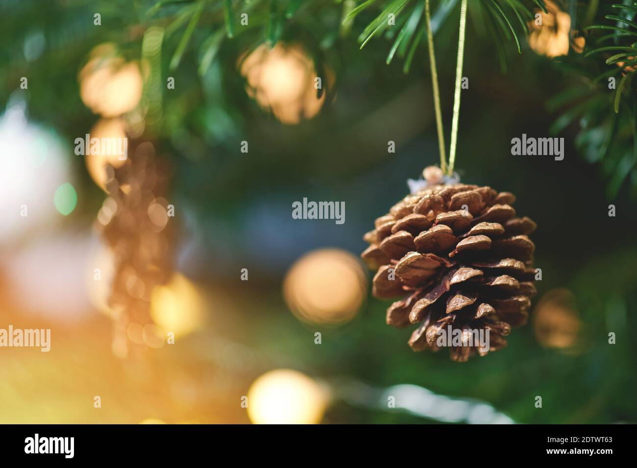 Gros plan du cône de pin de Noël suspendu sur l'arbre . Thème hiver Banque D'Images