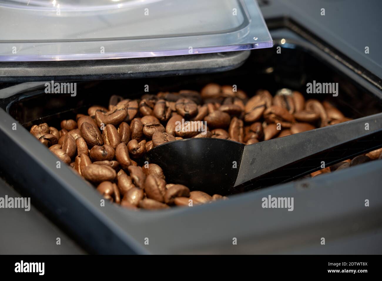 Grains de café rôtis dans le plateau de la machine à café moderne Banque D'Images