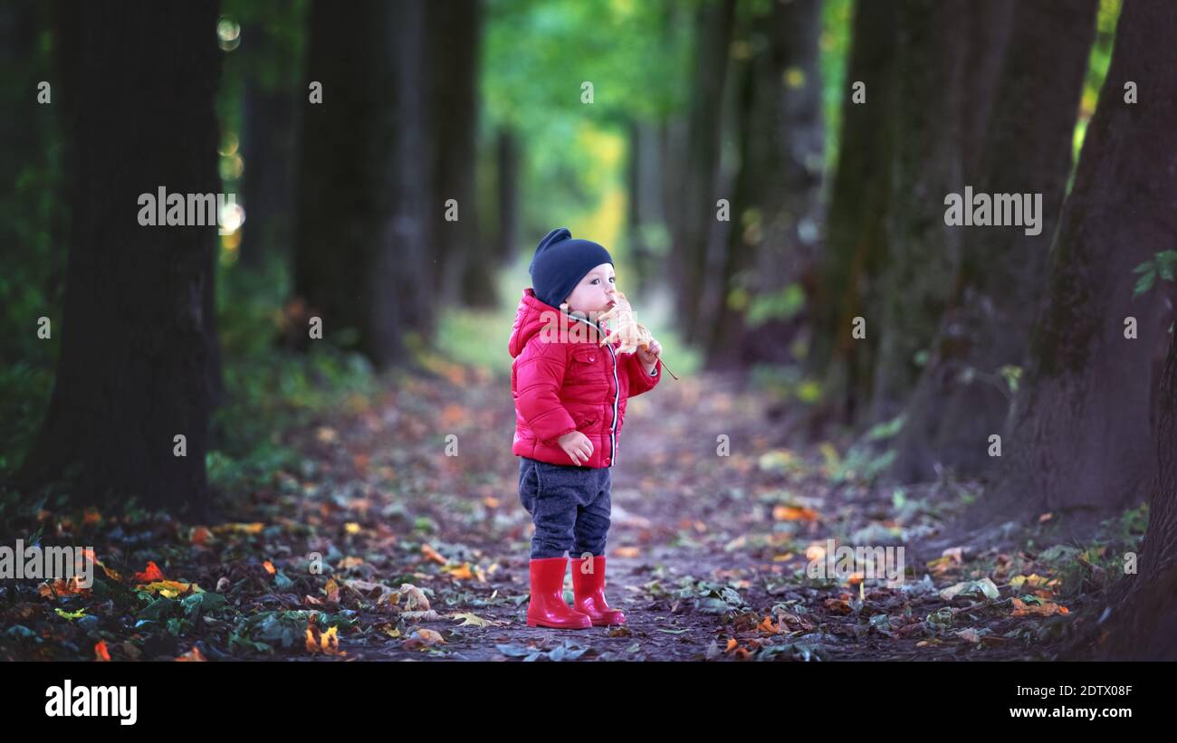 Petit garçon en bottes en caoutchouc rouge et veste rouge dans le parc d'automne. Forêt sombre en arrière-plan Banque D'Images