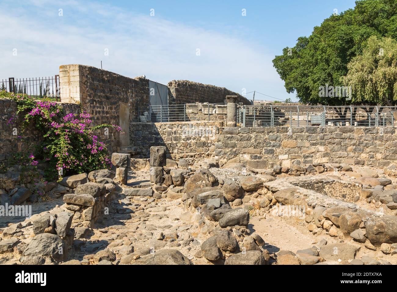 Ruines de l'ancien Capharnaüm, région de la Mer de Galilée, Israël Banque D'Images