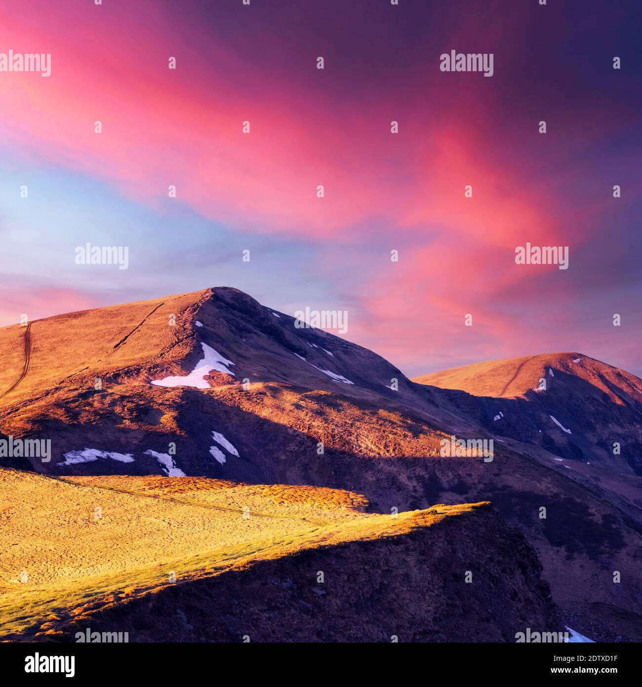 Vue de l'herbe des collines dans les Carpates par soir rougeoyant du soleil. Le ressort dramatique scène. Photographie de paysage Banque D'Images