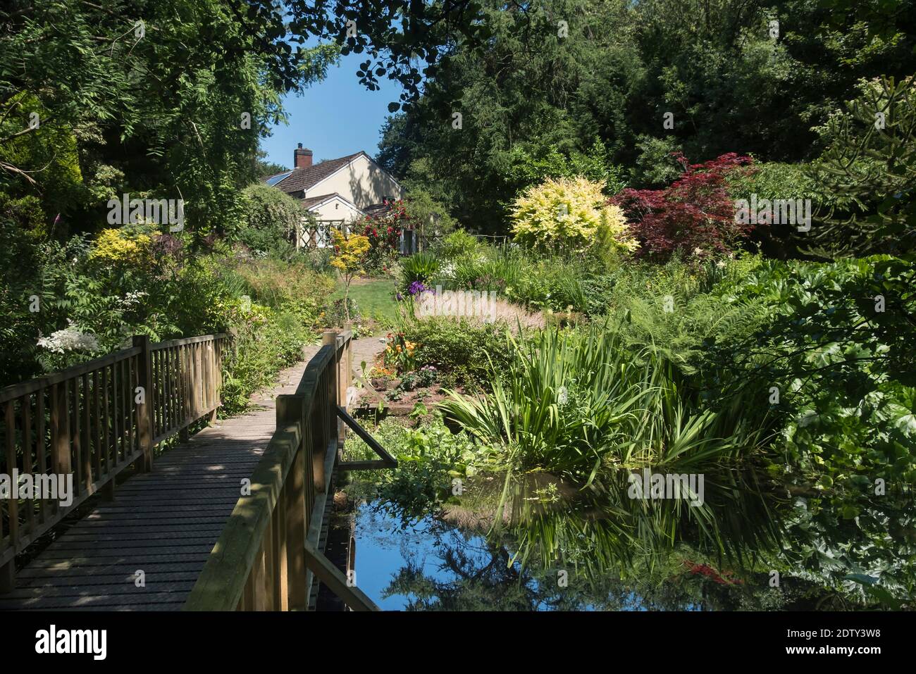 Stonyford Cottage Gardens, Oakmere, près de Northwich, Cheshire, Angleterre, Royaume-Uni Banque D'Images