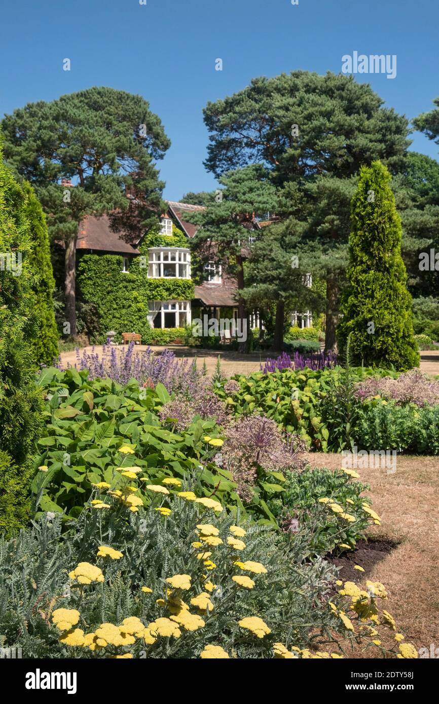 Jardins Abbeywood en été, près de Delamere, Cheshire, Angleterre, Royaume-Uni Banque D'Images