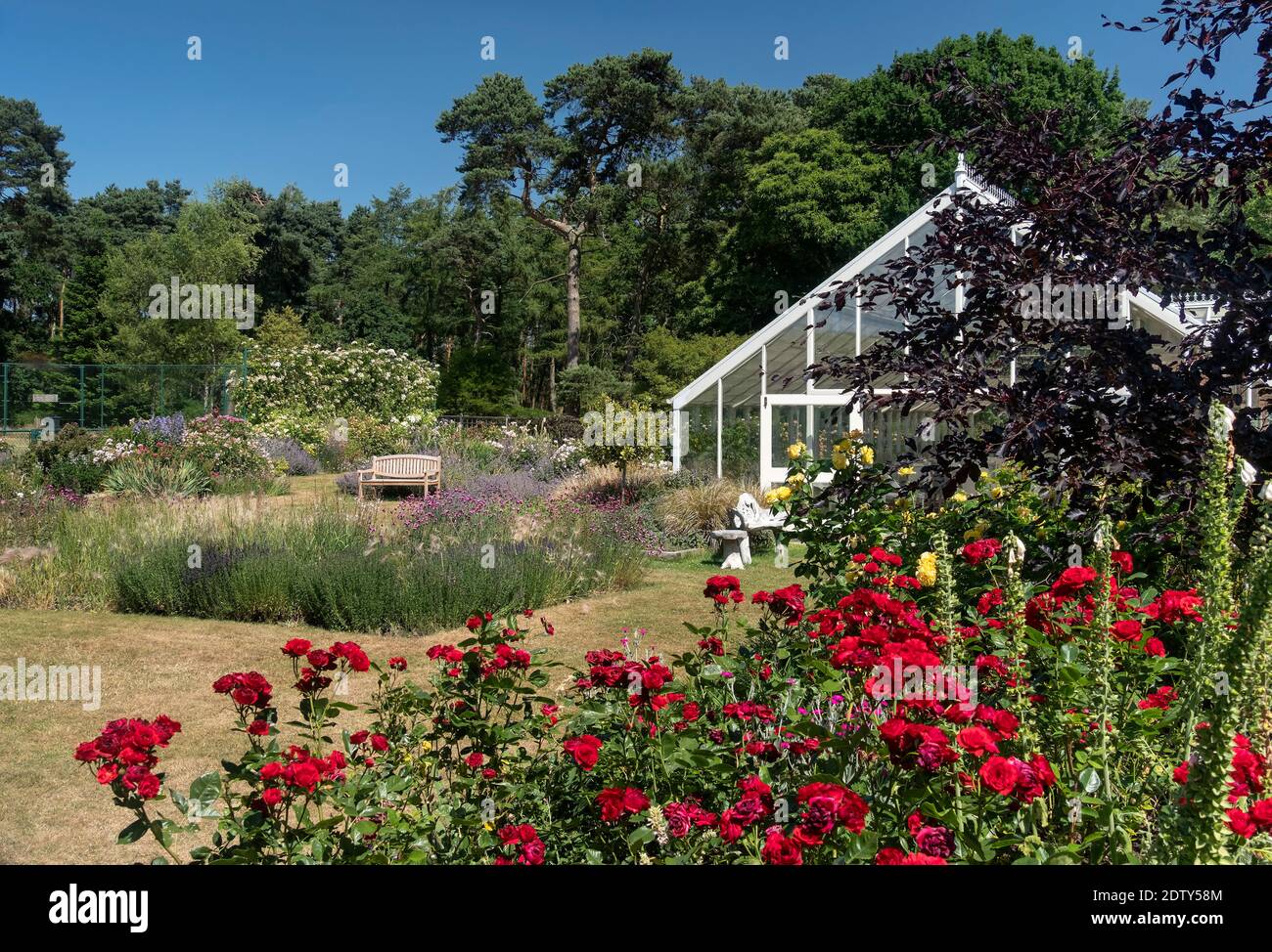 Jardins Abbeywood en été, près de Delamere, Cheshire, Angleterre, Royaume-Uni Banque D'Images
