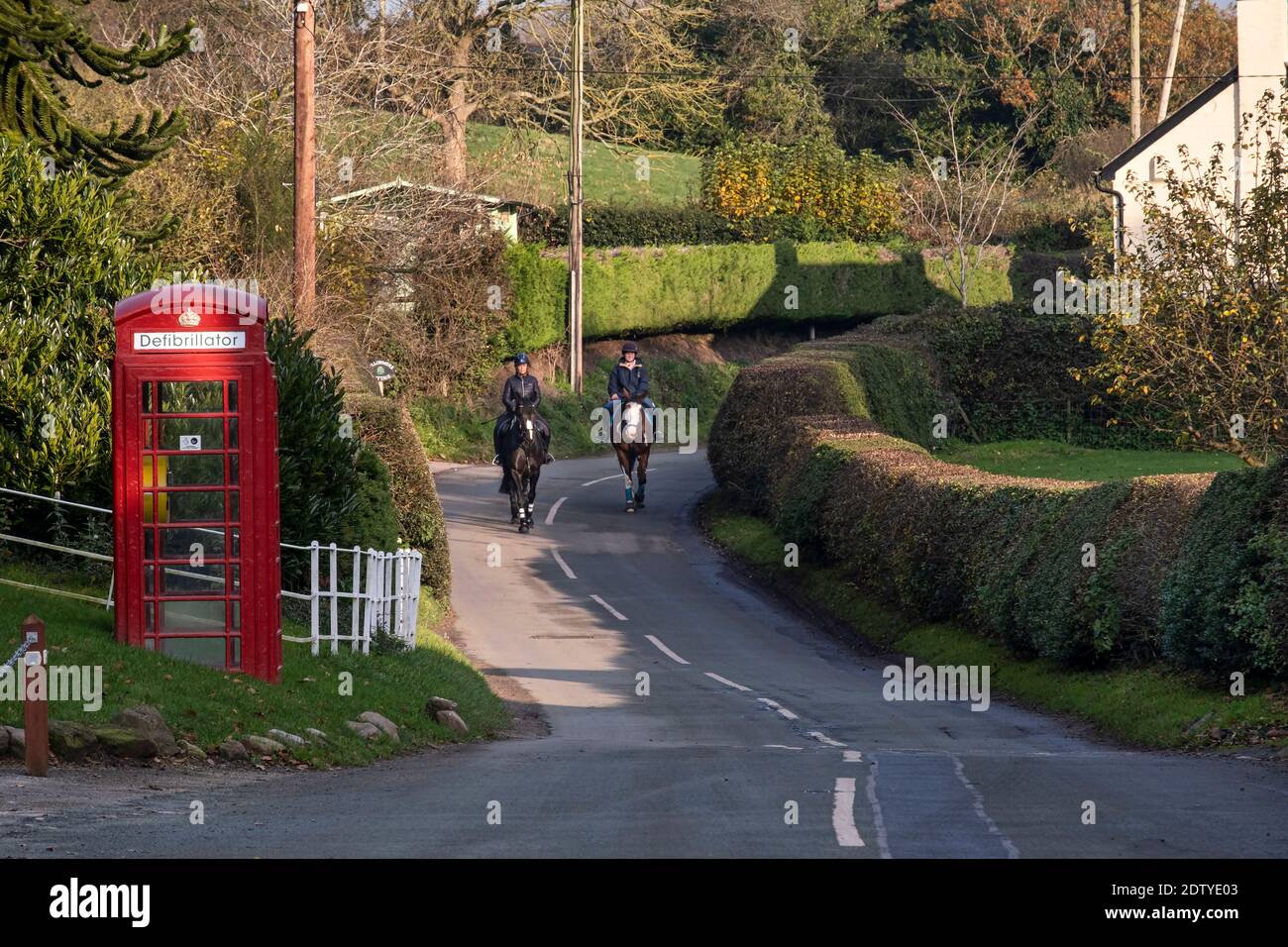 Horse Riders sur un virage dans la route, Marbury, Cheshire, Angleterre, Royaume-Uni Banque D'Images