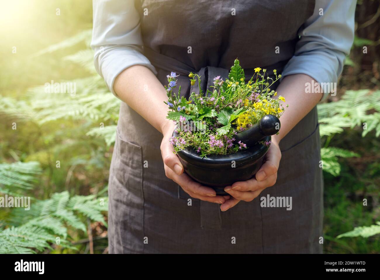 Femme tenant dans ses mains un mortier d'herbes médicinales. Herboriste femme rassemblant des plantes de guérison en forêt à l'extérieur. Banque D'Images