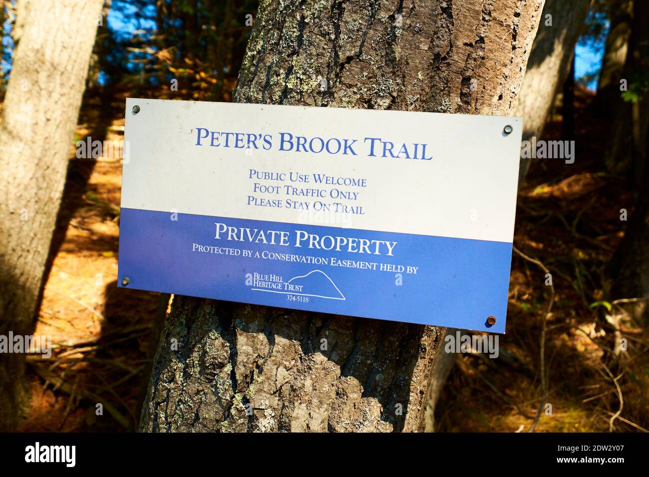 Le signe d'identité du sentier Peter's Brook, qui fait partie de la terre de conservation du Blue Hill Heritage Trust. Dans East Blue Hill, Maine. Banque D'Images