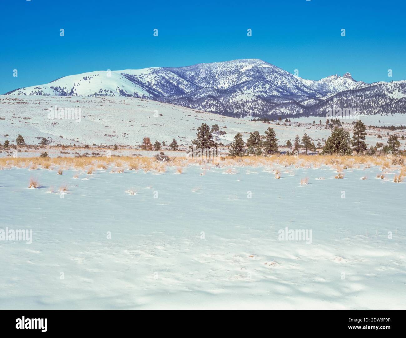 Sleeping Giant montagne en hiver près de Helena, Montana Banque D'Images