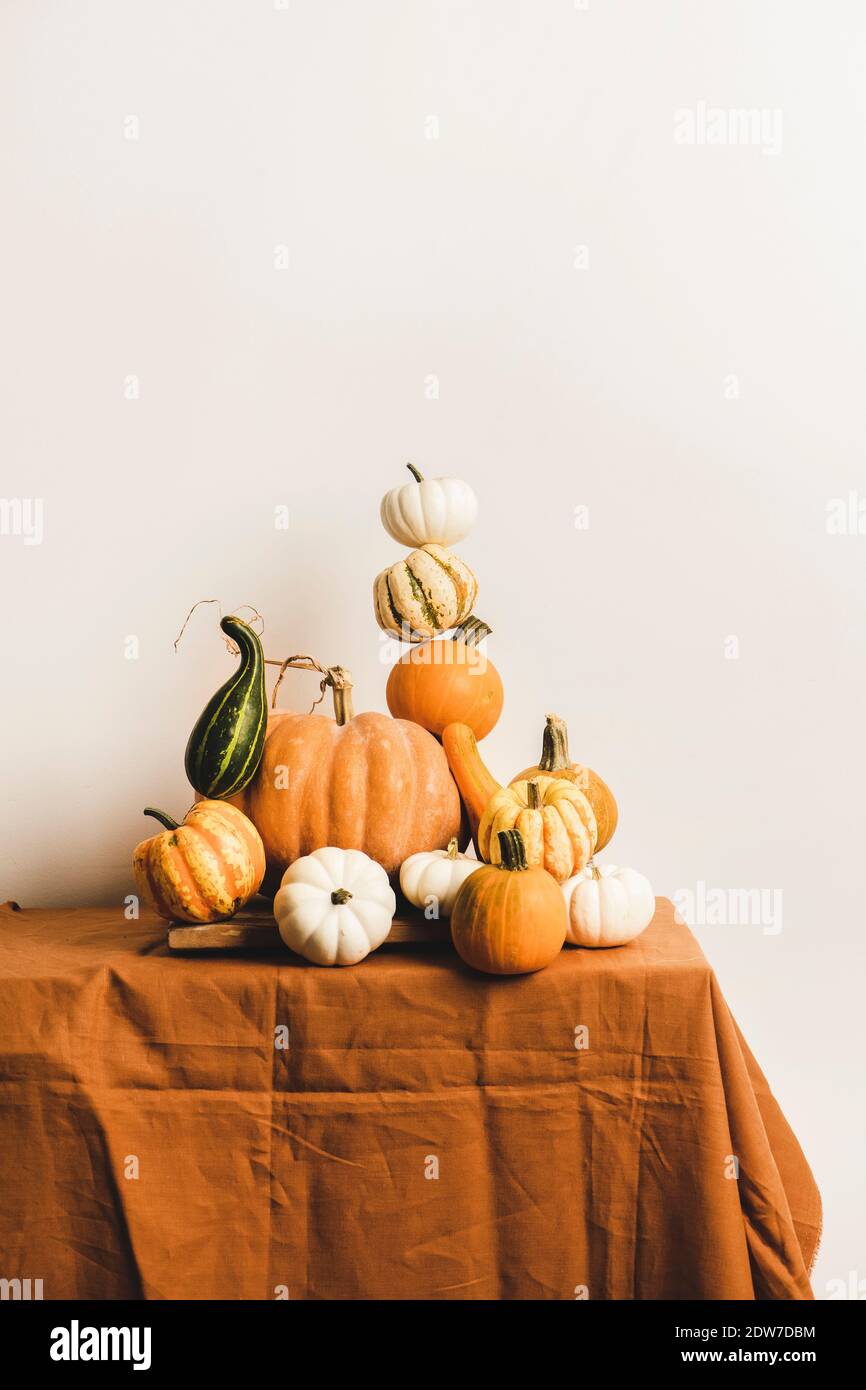 Citrouilles pour Halloween ou le jour de Thanksgiving décoration d'automne. Citrouilles colorées de différentes formes et tailles en pyramide sur table, Banque D'Images