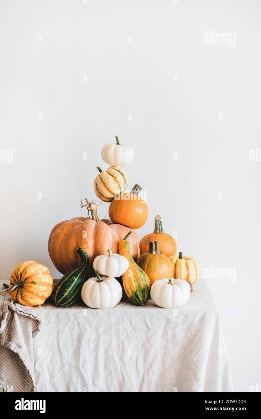Citrouilles colorées de différentes formes et tailles en pyramide sur nappe légère, paroi blanche à l'arrière-plan. Citrouilles pour Halloween ou Thanksg Banque D'Images