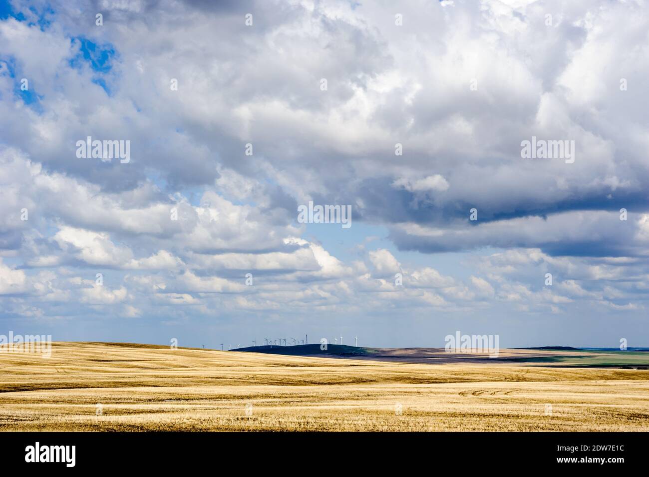 Paysage des Prairies avec des éoliennes à distance sous des nuages bas, en Alberta, au Canada. Banque D'Images