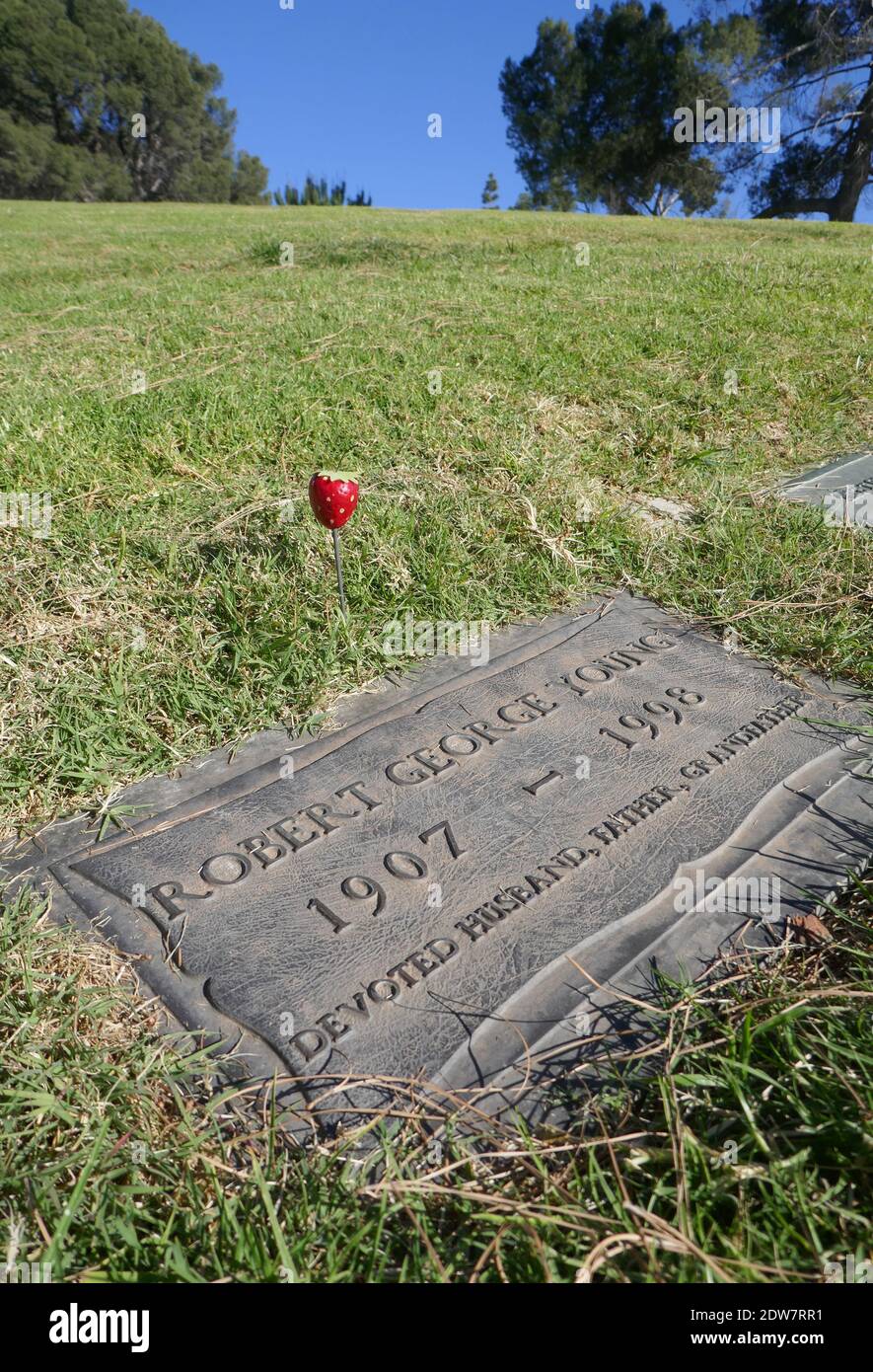 Glendale, Californie, États-Unis 21 décembre 2020 UNE vue générale de l'atmosphère de la tombe de l'acteur Robert Young dans la section de Graceland au Forest Lawn Memorial Park le 21 décembre 2020 à Glendale, Californie, États-Unis. Photo par Barry King/Alay stock photo Banque D'Images