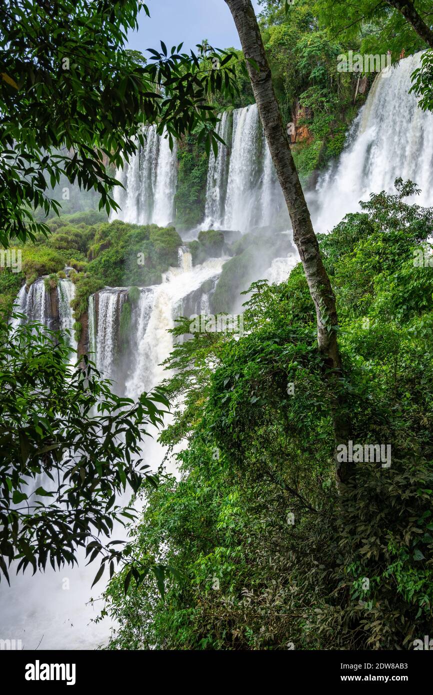 L'une des plus grandes cascades du monde, Foz do Iguaçu (chutes d'Iguaçu), vue du côté argentin Banque D'Images