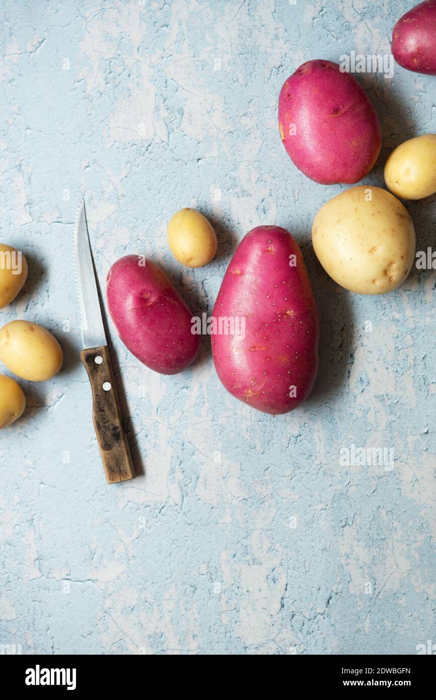 Pommes de terre rouges et blanches sur fond bleu texturé. Banque D'Images