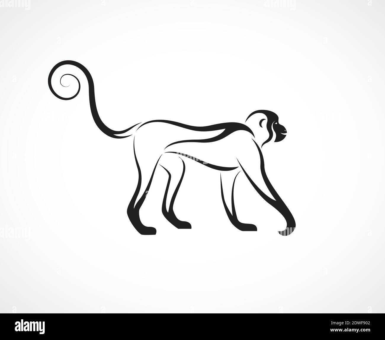 Vecteur d'un motif singe sur fond blanc. Animal sauvage. Illustration vectorielle superposée facile à modifier. Illustration de Vecteur
