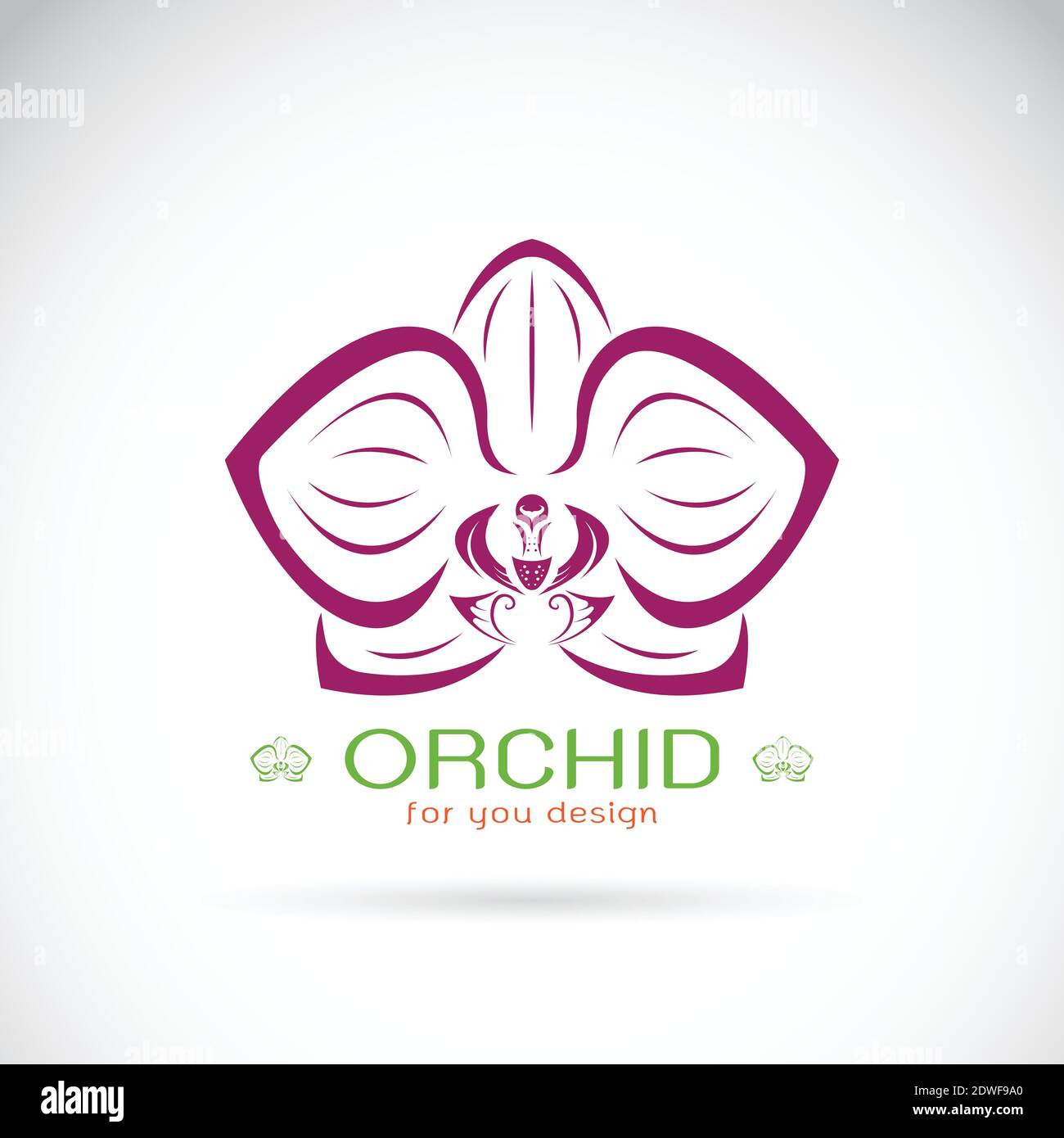 Vecteur d'un logo Orchid sur fond blanc. Fleur. Illustration de Vecteur