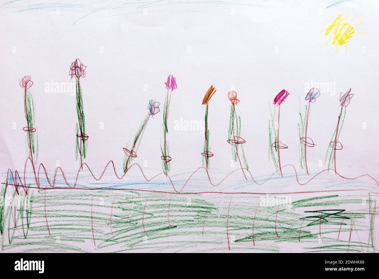 Dessin d'enfant de sept ans, fleurs dans le champ. Banque D'Images
