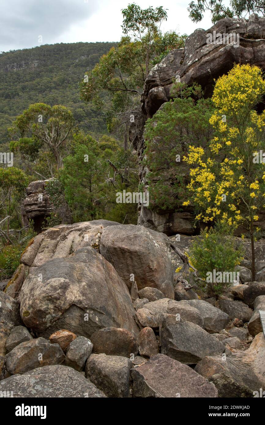 Rochers à Splitters Falls, parc national des Grampians, Victoria, Australie Banque D'Images