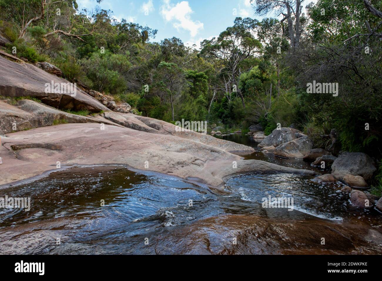 Thermes venus, parc national des Grampians, Victoria, Australie Banque D'Images