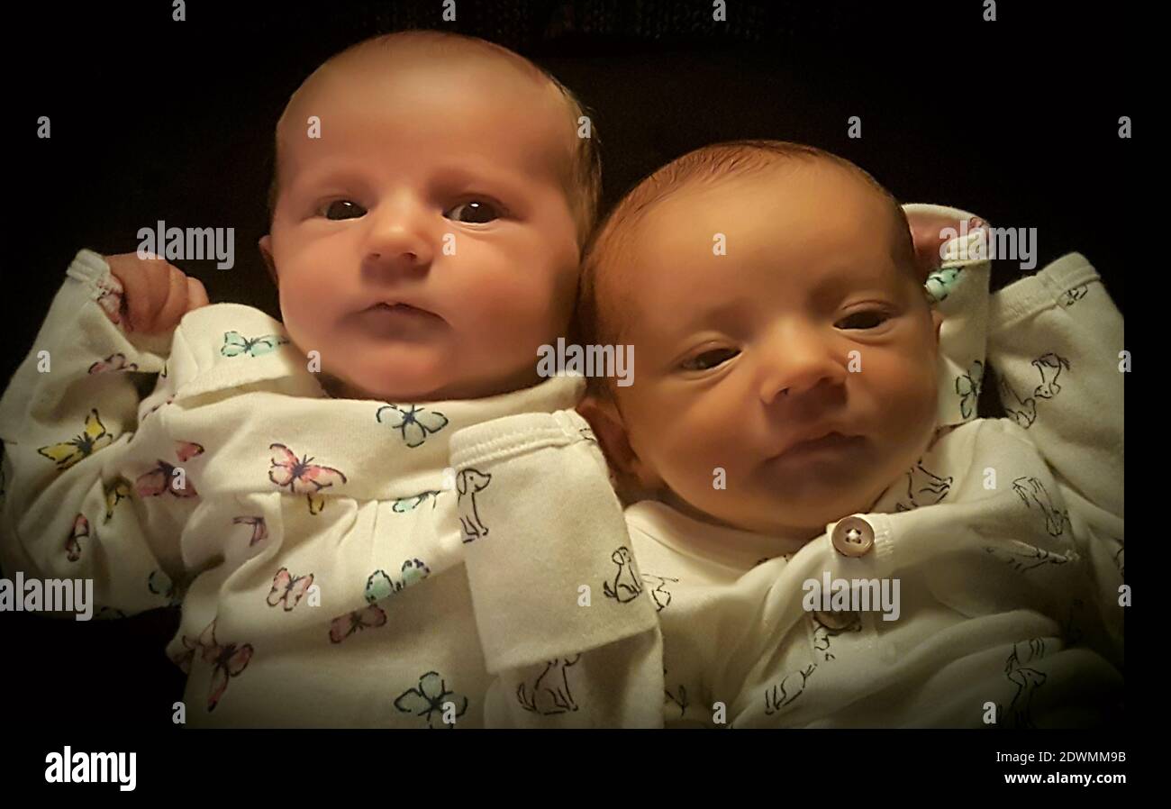 Gros Plan Portrait De Freres Et Sœurs Jumeaux Tout Petits Sur Fond Noir Photo Stock Alamy
