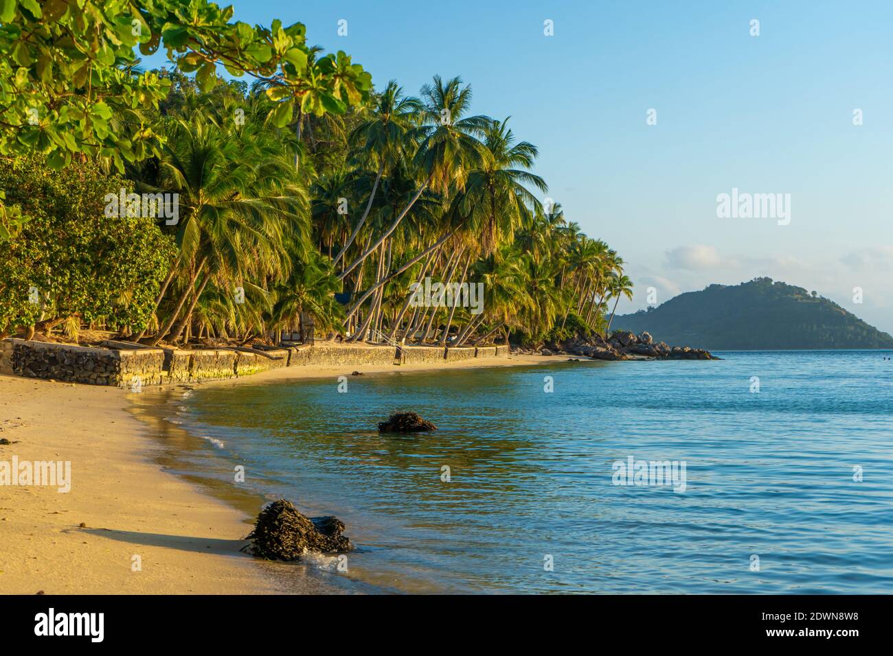 Palmier Sur La Plage De Sable Blanc Banque d'image et photos - Alamy