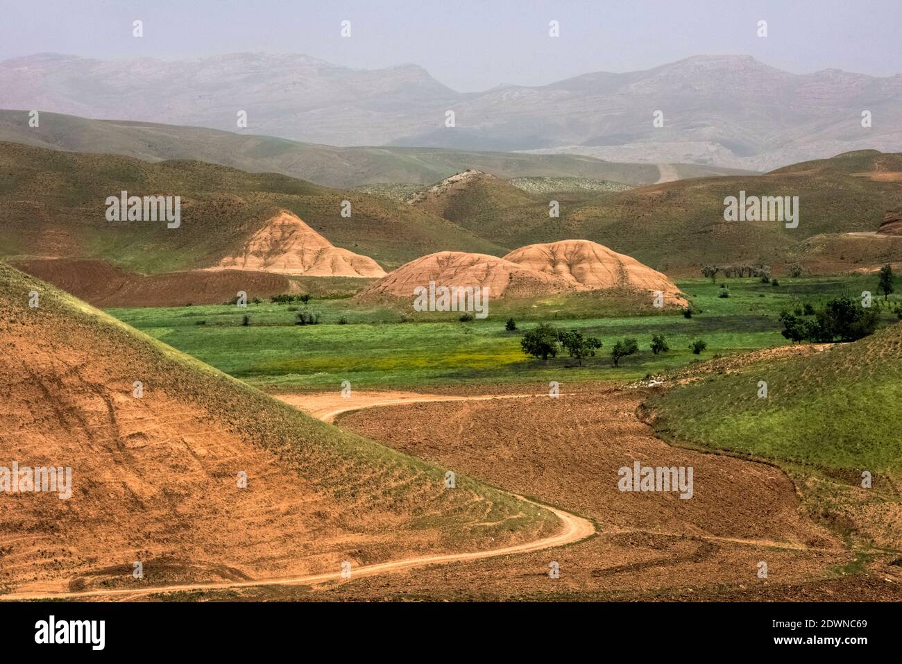 Vue panoramique du paysage agricole contre le ciel Banque D'Images